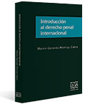 Introducción al Derecho Penal Internacional